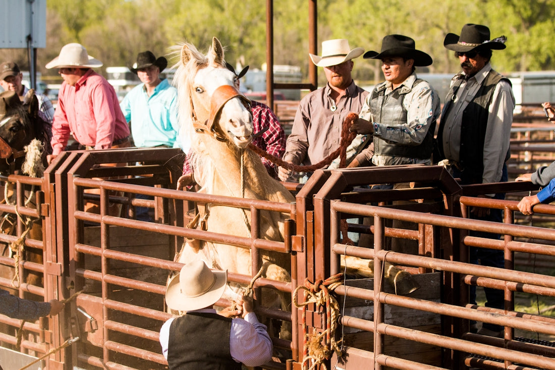 woman in white cowboy hat riding horse during daytime