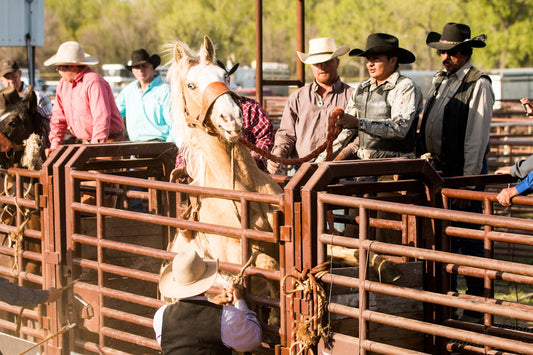woman in white cowboy hat riding horse during daytime