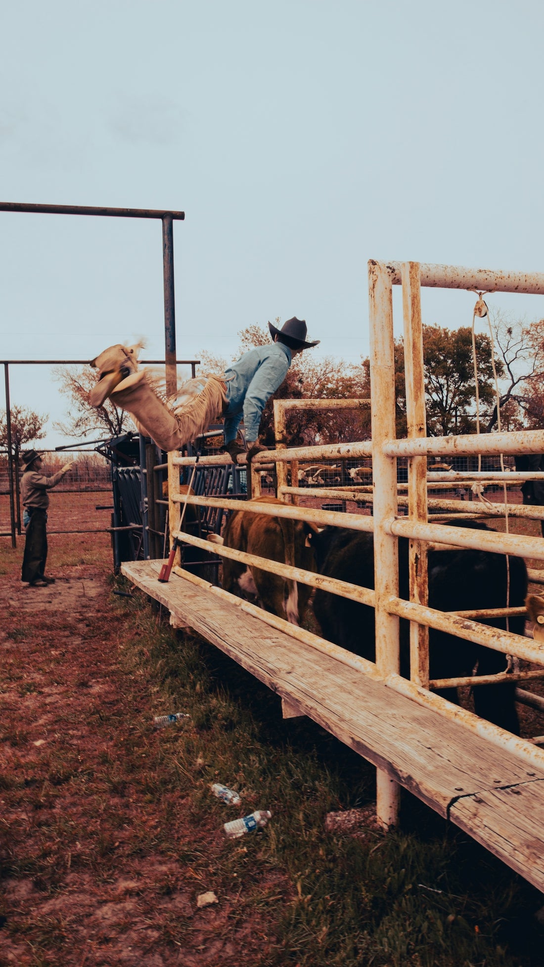 a cowboy falling off his horse in a corral