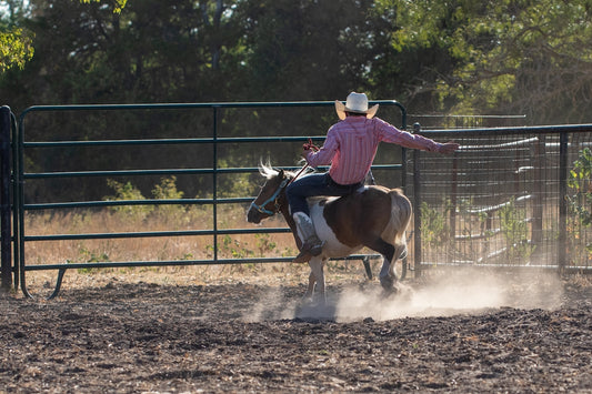 a person riding a horse in a fenced in area