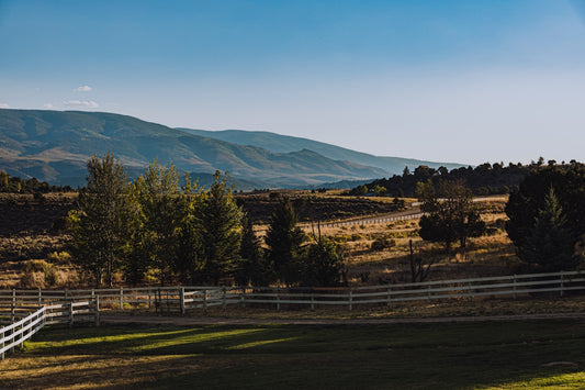 a white fence in a field with mountains in the background