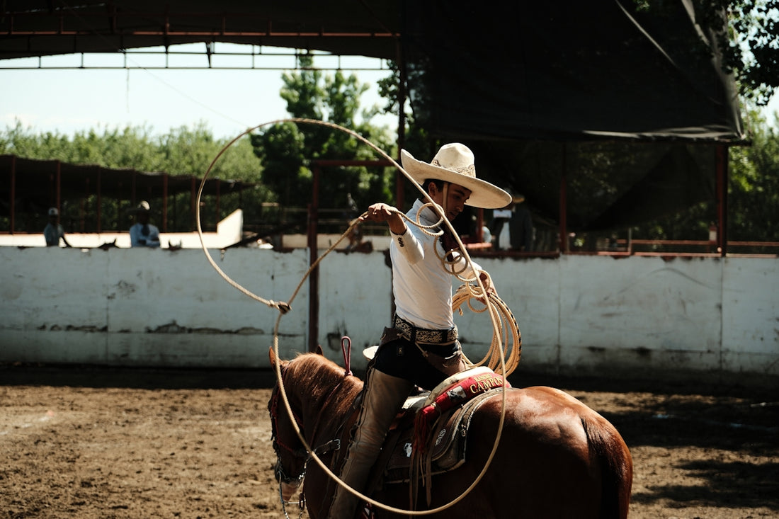 a man on a horse with a lasso