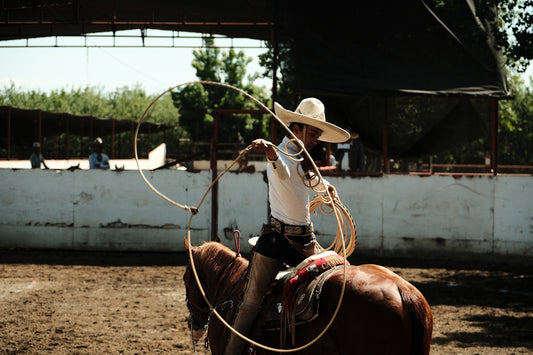 a man on a horse with a lasso