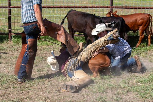 A man standing next to a brown horse on top of a field