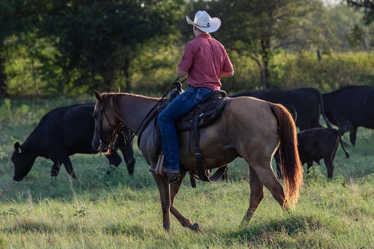 A man riding on the back of a brown horse