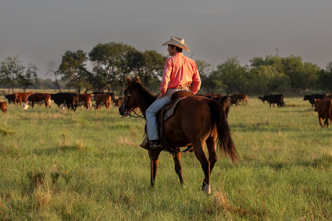 A man riding on the back of a brown horse
