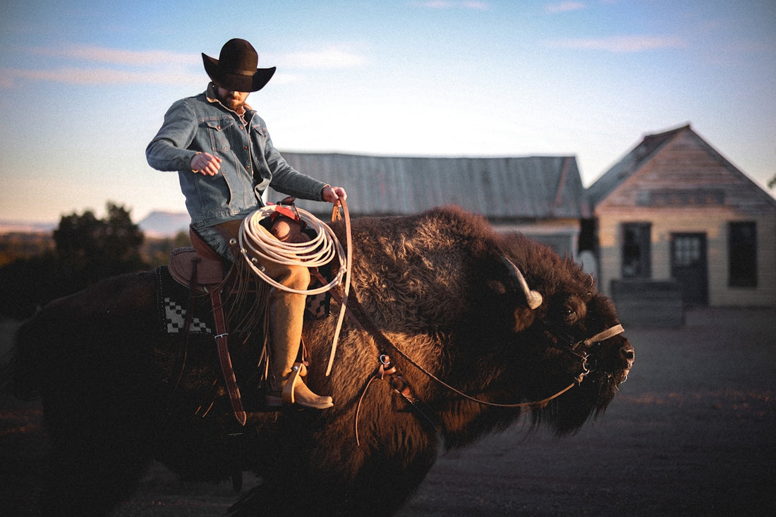 Cowboy rides a buffalo in front of a building.
