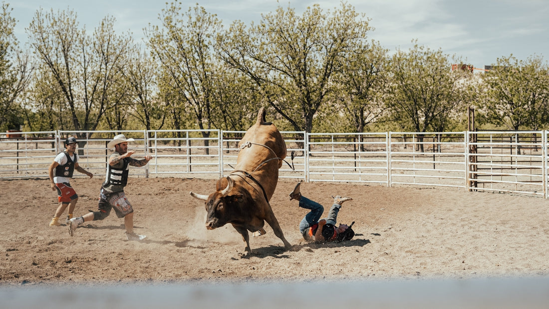 Bull rider thrown off bucking bull in rodeo arena