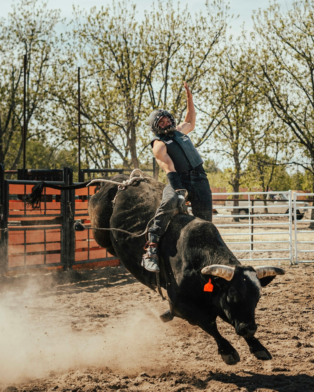 Bull rider attempts to stay on bucking bull