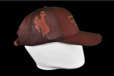 Wyoming Rodeo Ball Cap - Brown & Brown